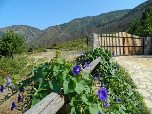 Hotel Sofra E Shpatit