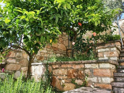 Apartamento Saranda View E & I