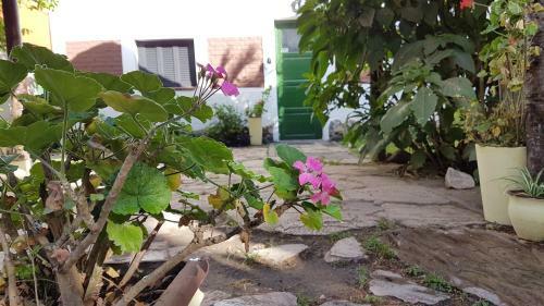Hotel Posada Las Mar�as