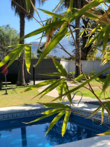 Reina Mora Hotel