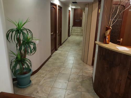 Prime Hotel Tours
