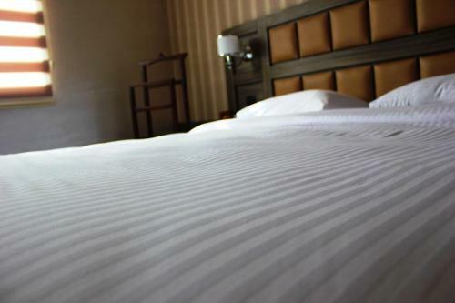 Avan Plaza Hotel