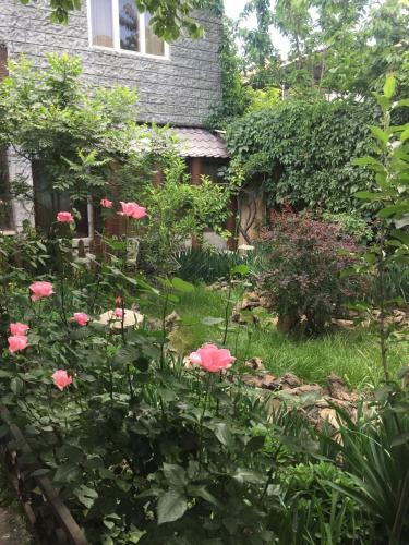 Hostal Guest House Druzhba