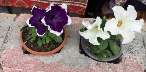 Three Jugs B&B