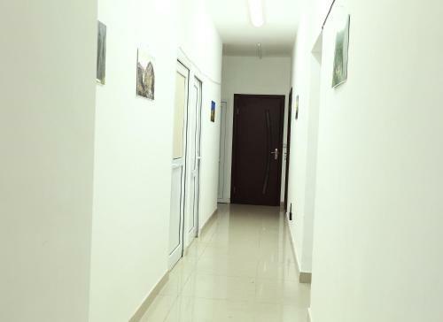 Byron Hostel