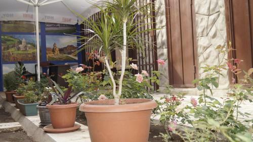 Hostal Komitas Avenue Guest House