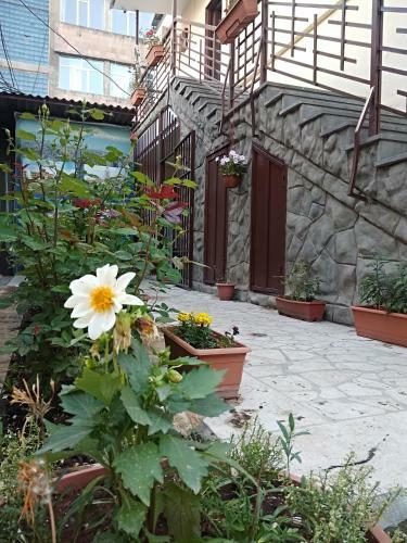 Hostal Komitas Avenue Guest House