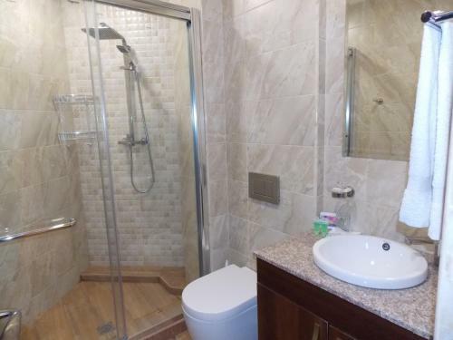 City Central Apartment