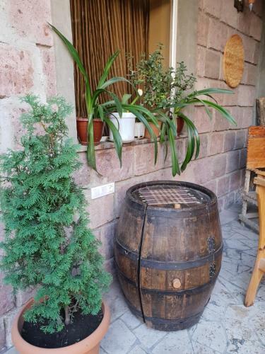 Albergue Green Villa Garden