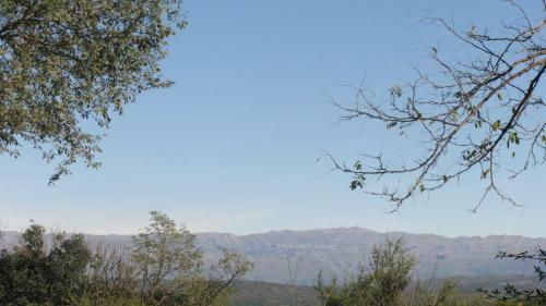 Posada La Rosita