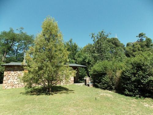 Lodge Rinc�n Alto Caba�as