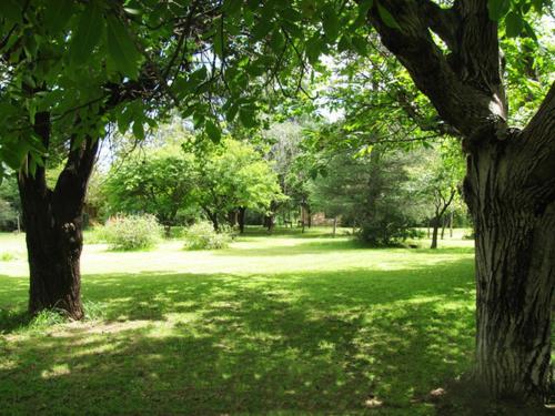 Lodge Rinc�n Alto Caba�as
