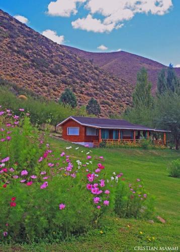 Lodge Nahuel Mapi