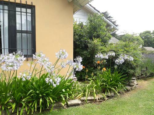 Lodge La Caledonia Caba�as Boutique