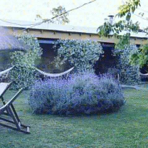 Posada Hoster�a Y Caba�as Casa De Campo