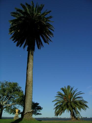 Hotel Estancia La Alameda