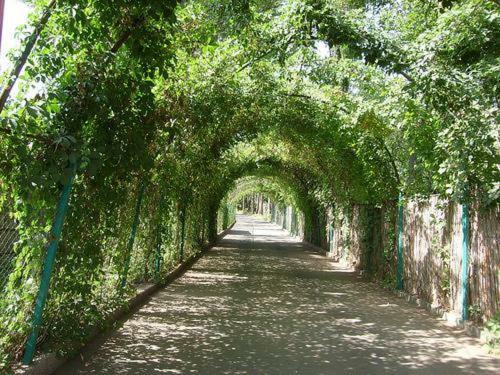 Apartamento Kvartira V Tsentre Goroda