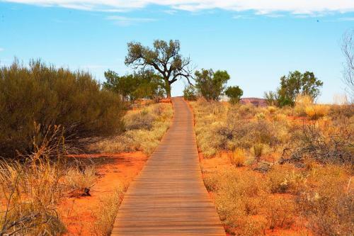 Hotel Kings Canyon Resort