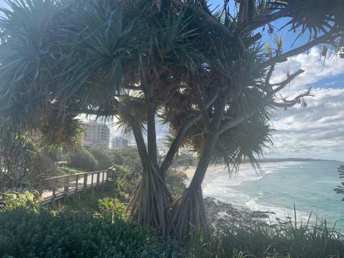 Hotel Coolum Beach Resort