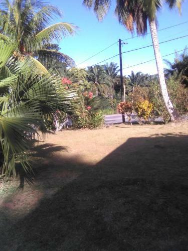 Palms Day