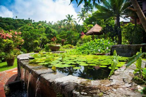 Hotel Ladera Resort