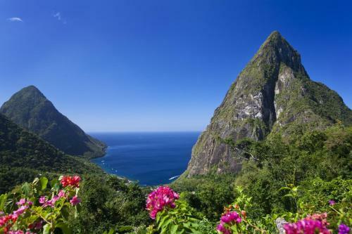 Hotel Ladera Resort