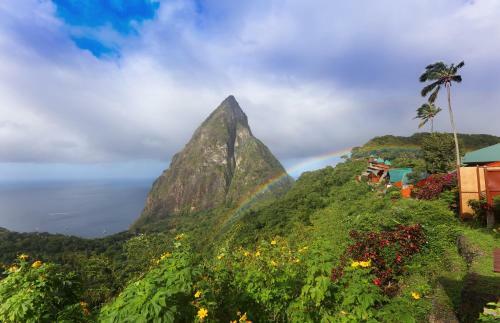 Hotel Ladera Resort