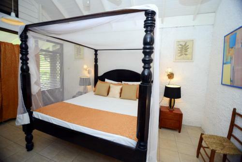 Hotel Hummingbird Beach Resort