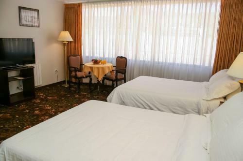 Hotel Coloso Potosi
