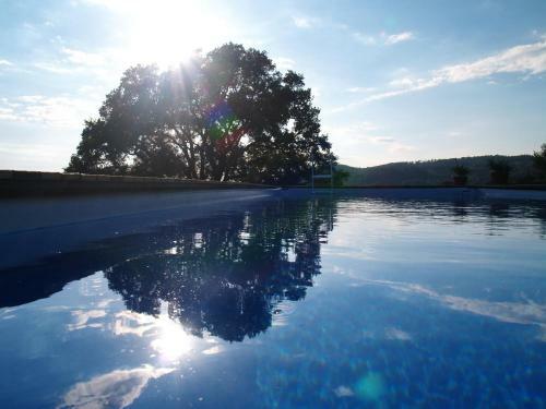 Agroturismo Bio Agriturismo I Lapi