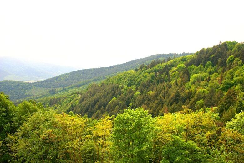 Hotel L'hostellerie Le Turckheim Croix D'or