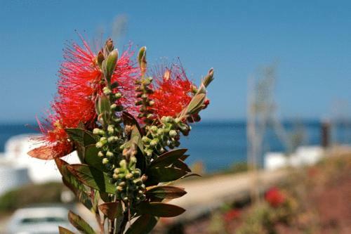 Aparthotel Kuddie Rosse Eco-friendly Residence