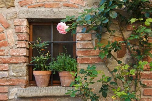 Apartamento La Paterna Di Rigomagno