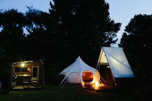 Wild Forest Estate Glamping