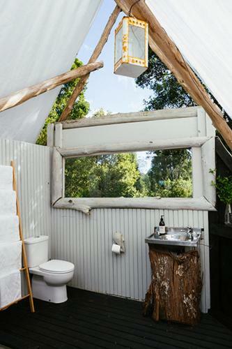 Wild Forest Estate Glamping