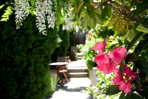 Aparthotel Garden Court Suites & Apartments