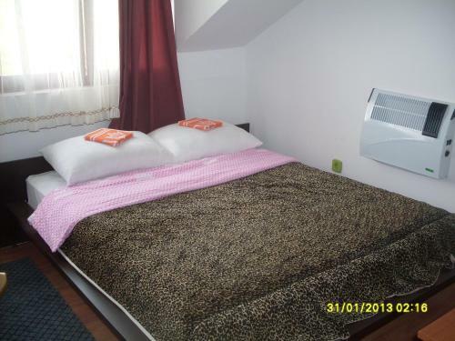 Hostal Hostel Gonzo