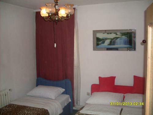 Hostal Hostel Gonzo
