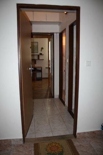 Apartment Borov� Lada