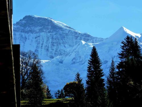 Apartment Breithorn-residence.3