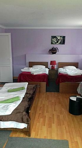 Posada Nino Khetaguri Guest House