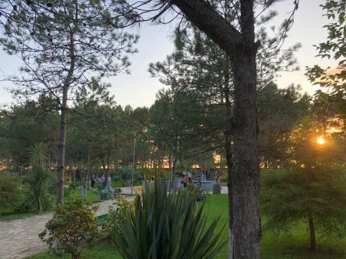 Hostal Guest House 32