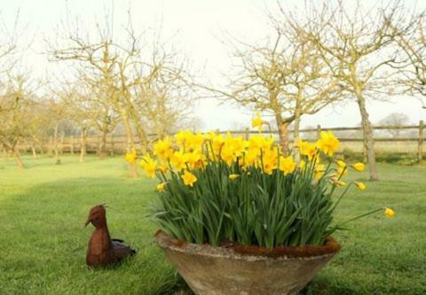 Agroturismo Pheasant Suites