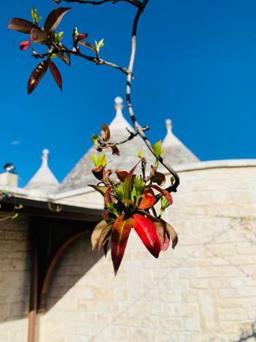 Agroturismo I Trulli Di Badi