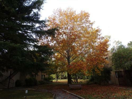 Aparthotel Ruca Lemu
