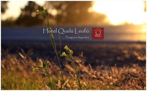 Hotel Quelu Leufu