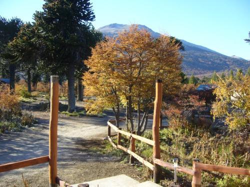 Lodge Caba�as Huerquen
