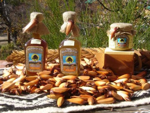 Lodge Caba�as Huerquen
