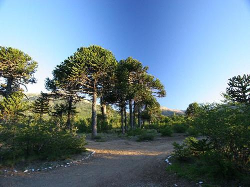 Lodge Caba�as Huerquen