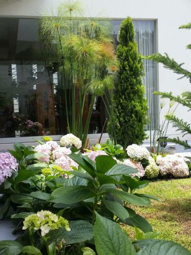 Beausejour Boutique Hotel